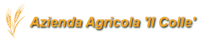 Logo Azienda Agrituristica Il Colle